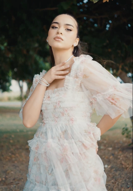 Printed Chiffon Summer Dress